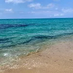 La Pavoncella