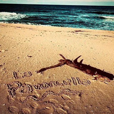 La Pavoncella Appartement *